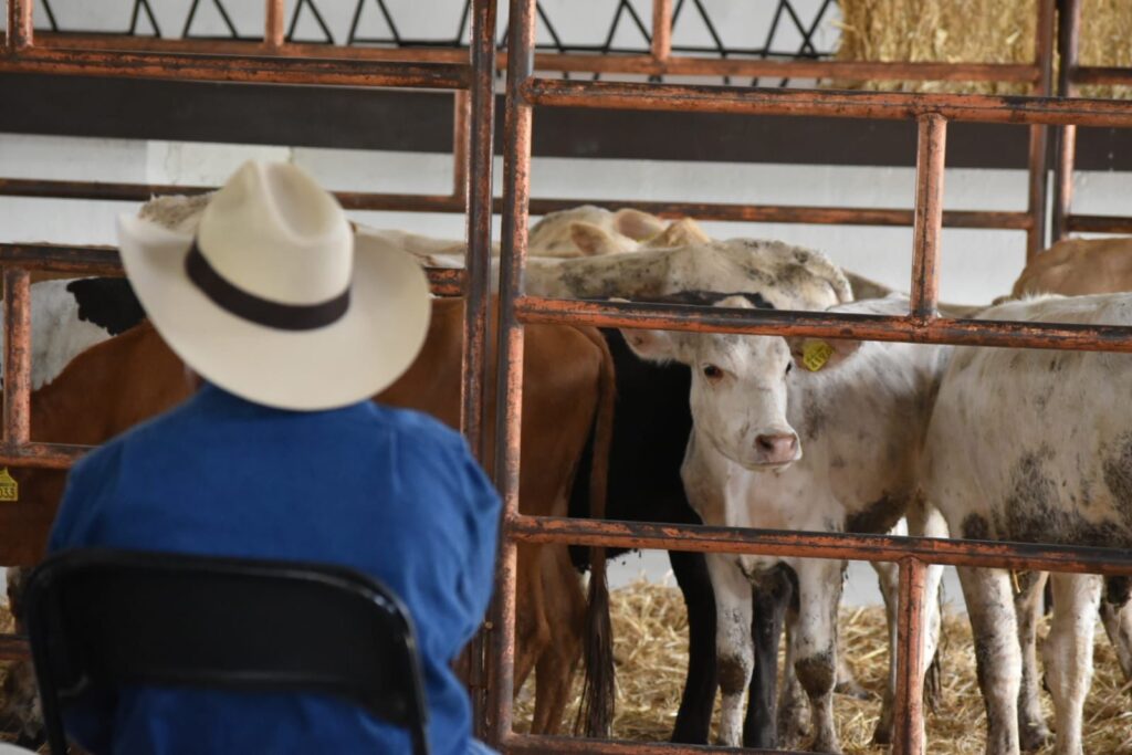 Gobierno de Jiutepec entrega apoyos en especie a ganaderos 3 IMG 20230814 WA0061