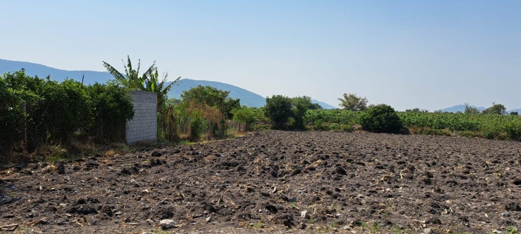 El agro morelense tiene hombres que saben trabajar la tierra; tengo experiencia y plan estratégico en la materia: Rabindranath Salazar 4 IMG 20230921 WA0009