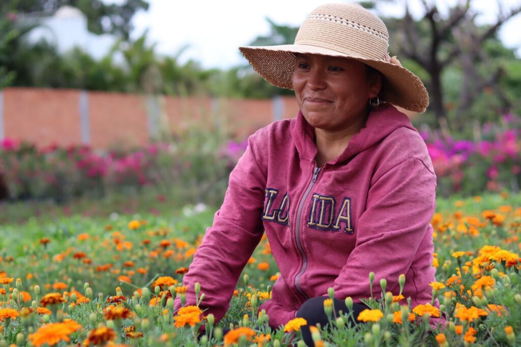 Producción de 47 mil flores de cempasúchil en Jiutepec: Alcalde Rafael Reyes 1 IMG 20231017 WA0029