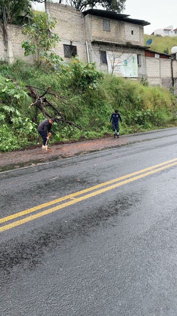 Atiende Protección Civil de Temixco caída de árbol la altura del puente del Pollo 2 IMG 20231025 WA0117