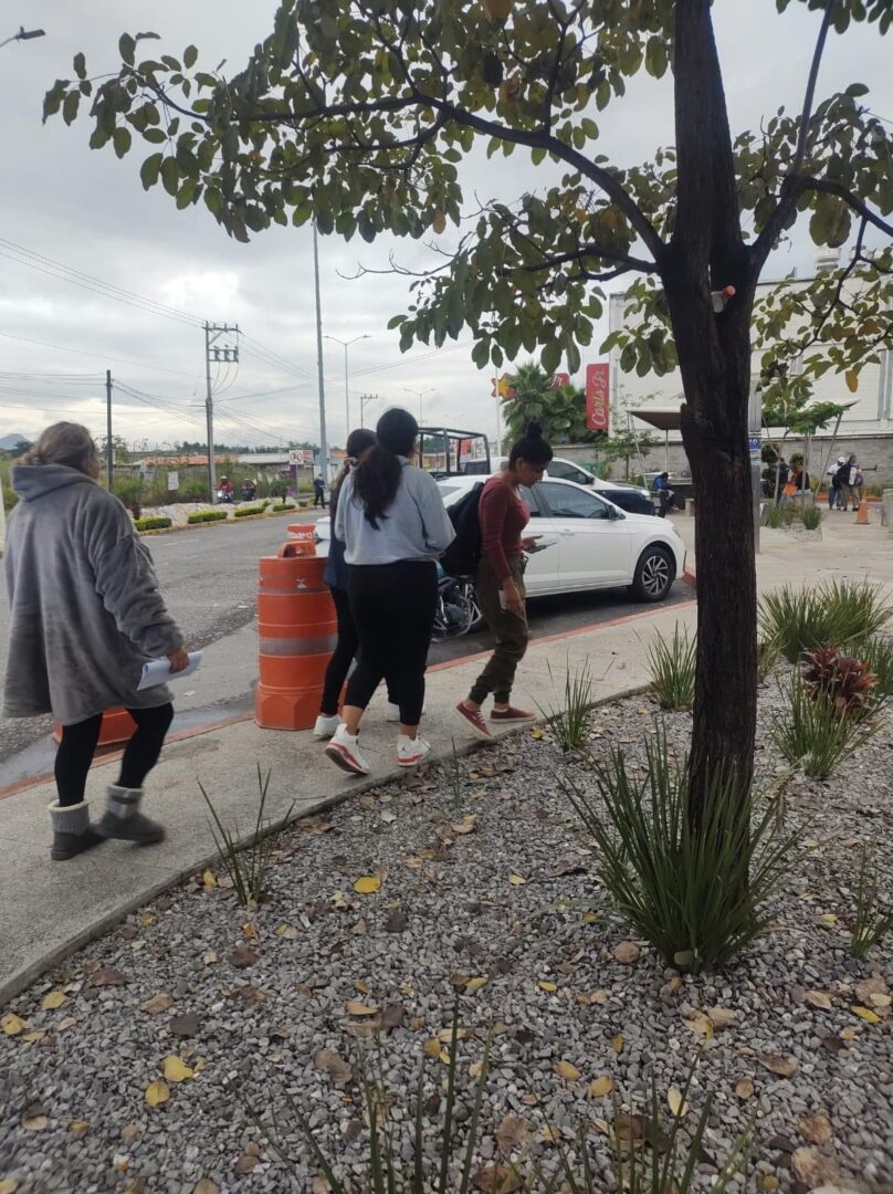 IMG 20231122 WA03521