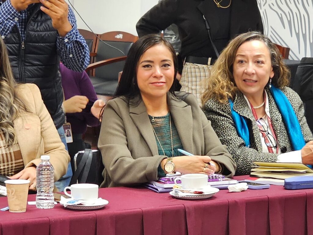 Participa IMM en de la presentación del Directorio del Sistema Nacional de Servicios de Atención a Mujeres que viven Violencia a cargo de la CONAVIM 2 IMG 20231213 WA0290