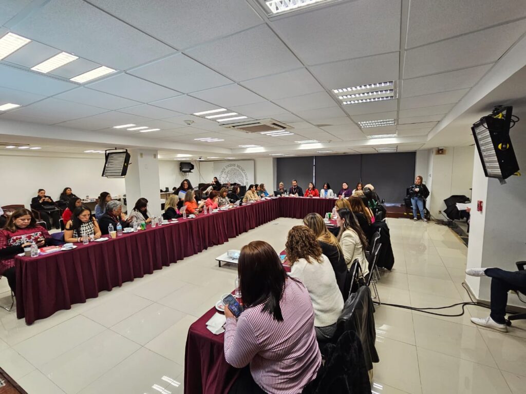 Participa IMM en de la presentación del Directorio del Sistema Nacional de Servicios de Atención a Mujeres que viven Violencia a cargo de la CONAVIM 1 IMG 20231213 WA0291