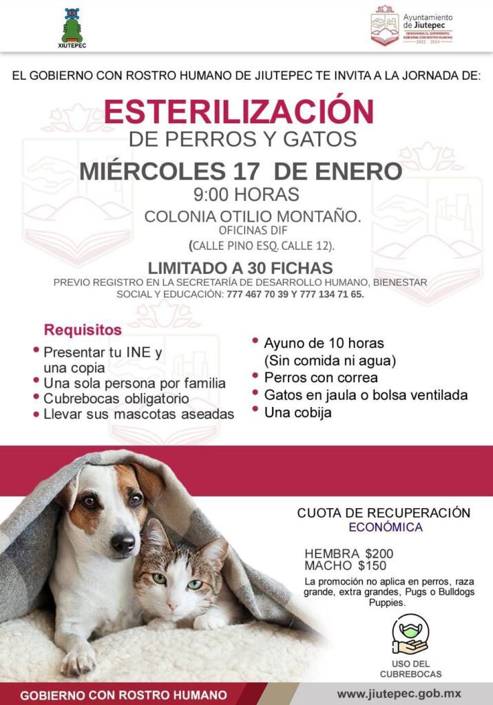 Inicia programa de esterilización de perros y gastos en Jiutepec 1 1000103869