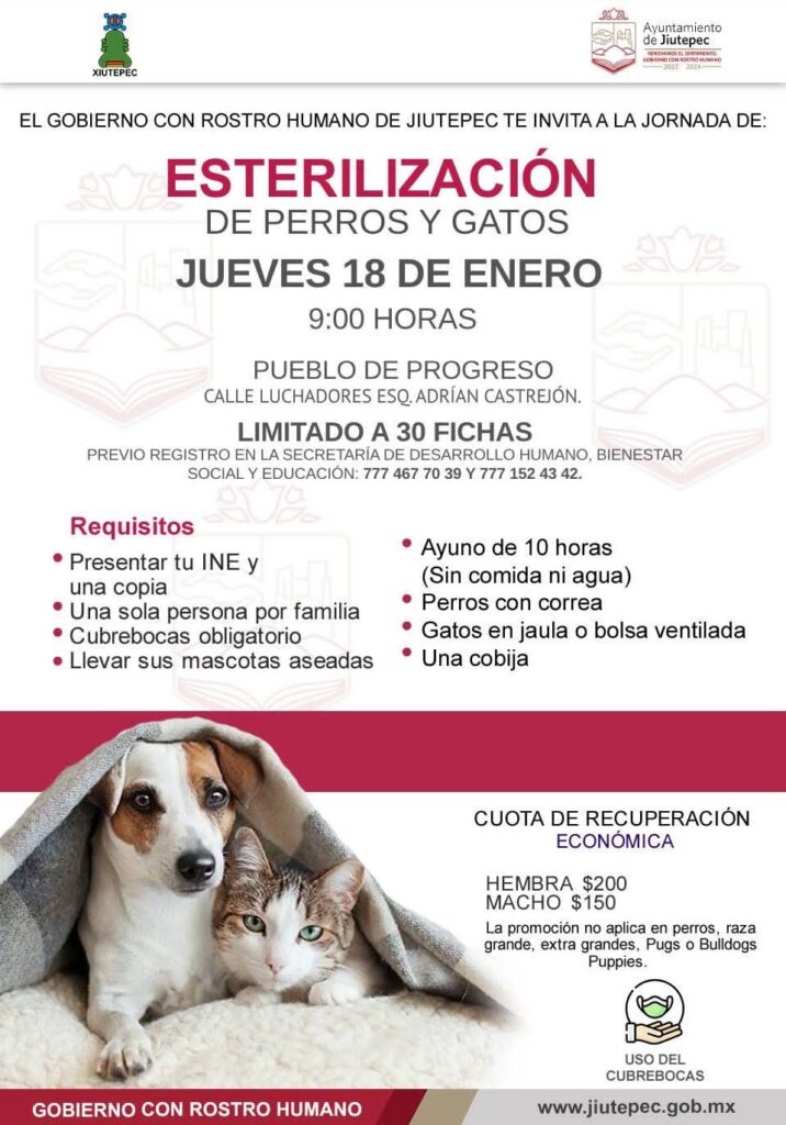 Inicia programa de esterilización de perros y gastos en Jiutepec 4 1000103870
