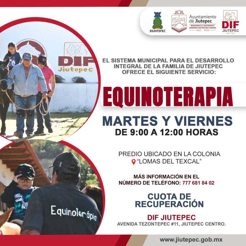 DIF Jiutepec ofrece sesiones de equinoterapia para niñas, niños y jóvenes 2 1000124427