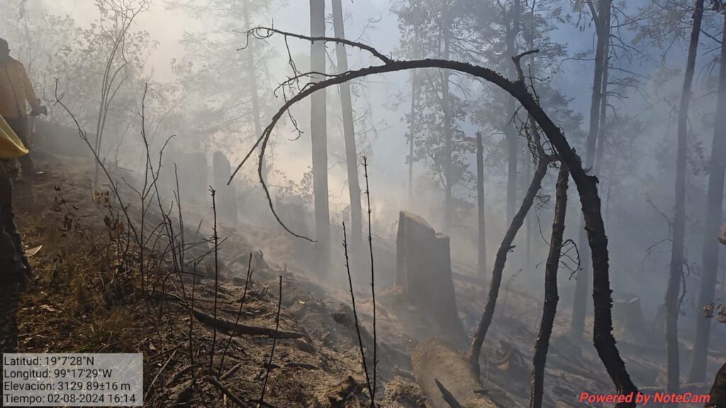 Actualización: Incendios forestales en municipio de Huitzilac, Morelos 1 1000140637