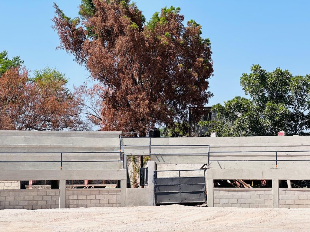 Juan Ángel Flores Bustamante inaguró la reconstrucción de la Plaza de Toros Social y Cultural San Juan Panchimalco 6 1000168956