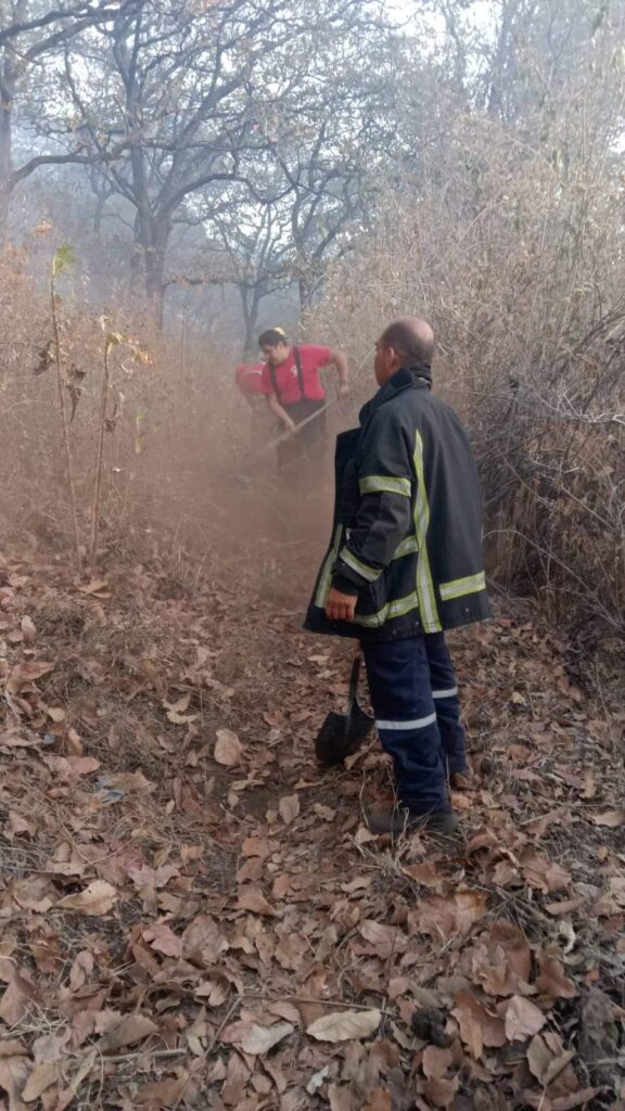 Atienden bomberos de Cuernavaca incendio forestal en Villa Santiago 2 1000181162