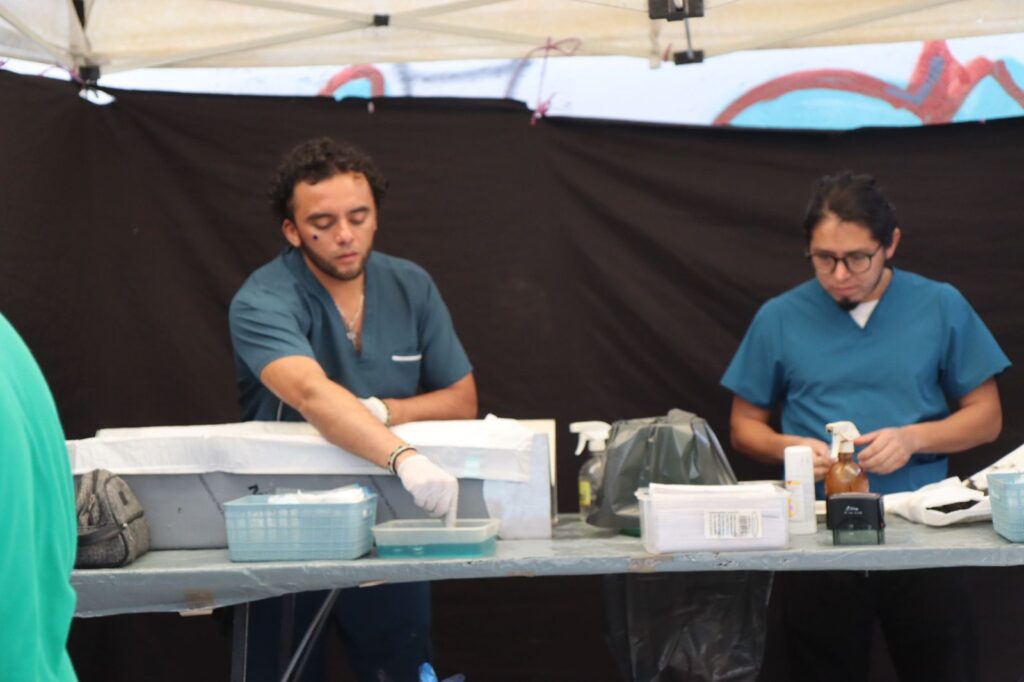 Gobierno de Jiutepec implementa programa de esterilizaciones caninas y felinas 3 1000187421