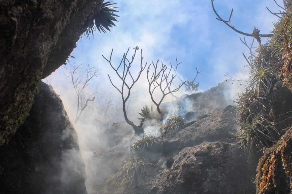 Avance en el control del incendio en el cerro "Tlatoani" de Tlayacapan: Alcanza un 35% de control 1 IMG 20240326 WA0231