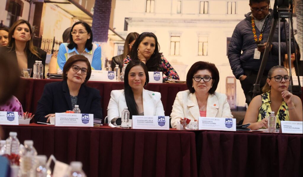 Presidenta del IMM participa en sesión del SNPASE 2 1000224462
