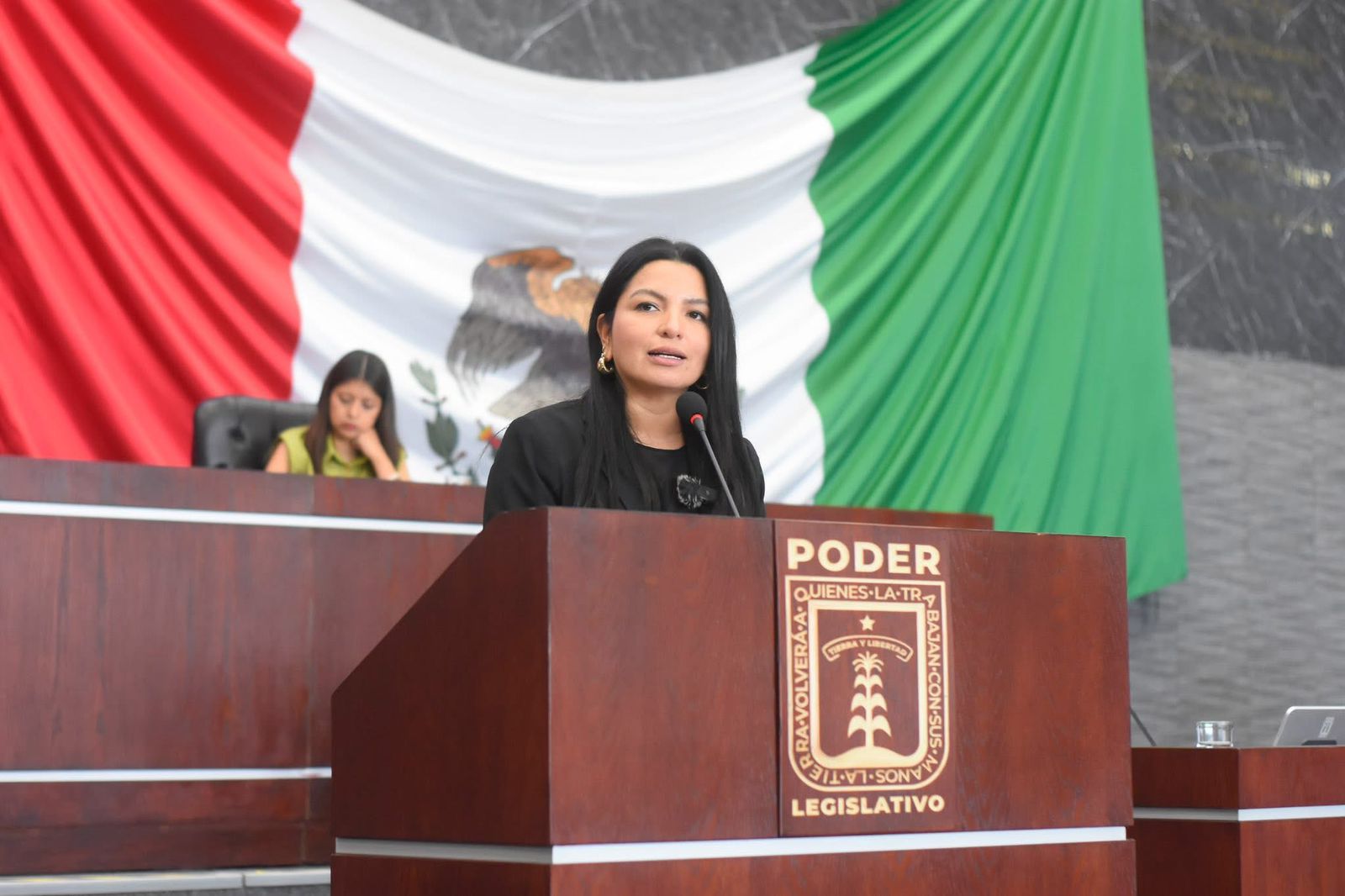 Celebra diputada Melissa Montes de Oca avance histórico hacia una Ley General en Materia de Feminicidio 1 G 1