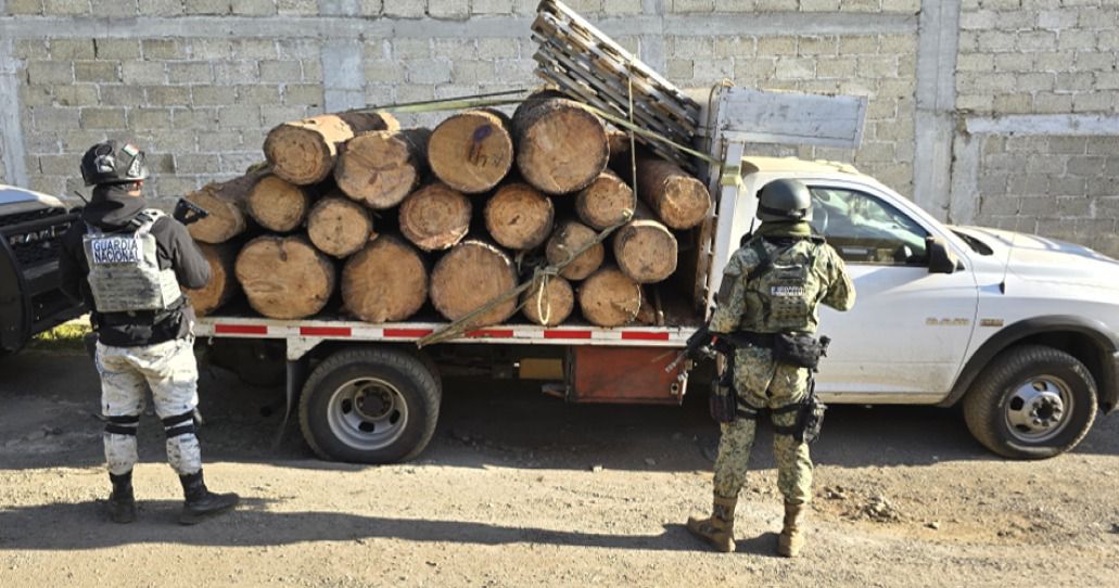 Intensifica Gobierno de Morelos acciones contra deforestación y combate a la tala clandestina en zona limítrofe con Ciidad de México y Estado de México