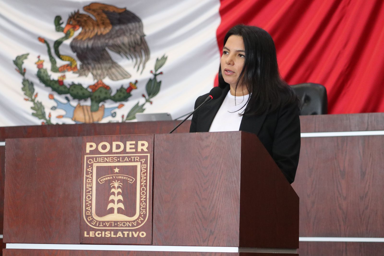 Registro Estatal de Deudores Alimentarios Morosos en Morelos