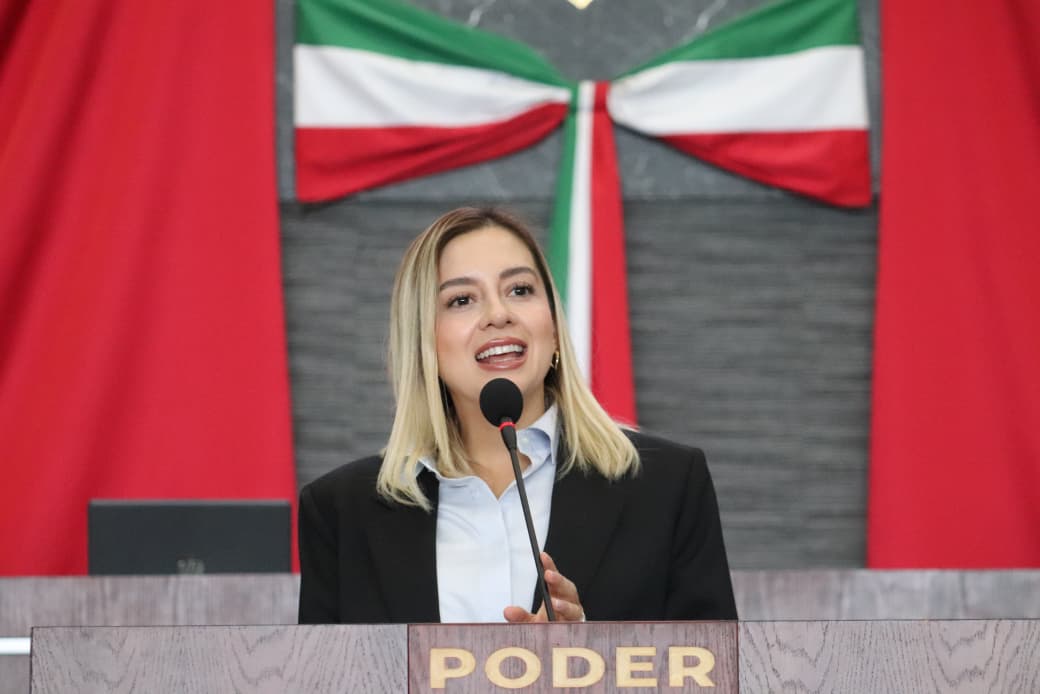 Presenta diputada Andrea Gordillo iniciativa para evitar la violencia obstétrica