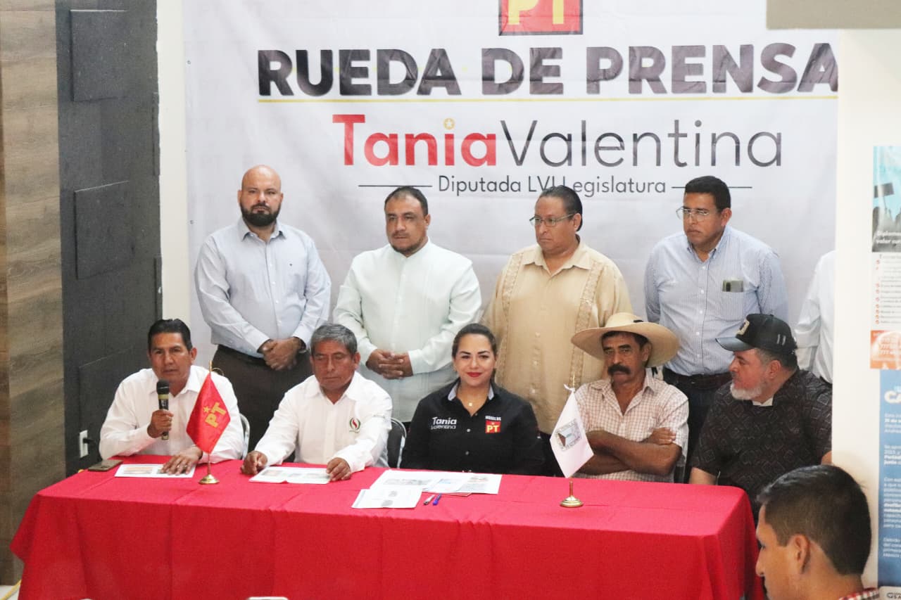 Alertan diputada Tania Valentina y especialistas sobre crisis fitosanitaria por escarabajo ambrosia y gusano barrenador en Morelos